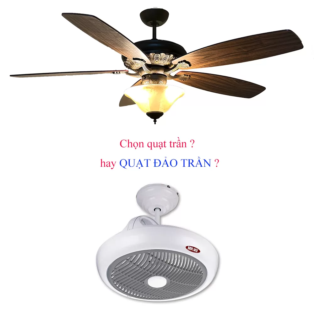 quat-tran-hay-quat-dao-tran