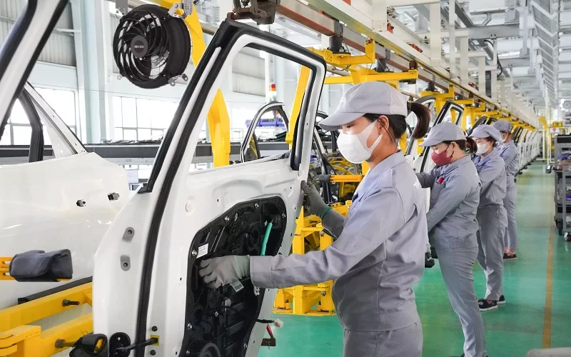 Quạt mát công nghiệp đa dạng mẫu mã và công suất