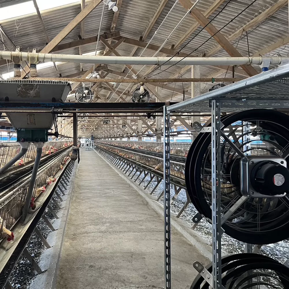 quat-cong-nghiep-chan-nuoi