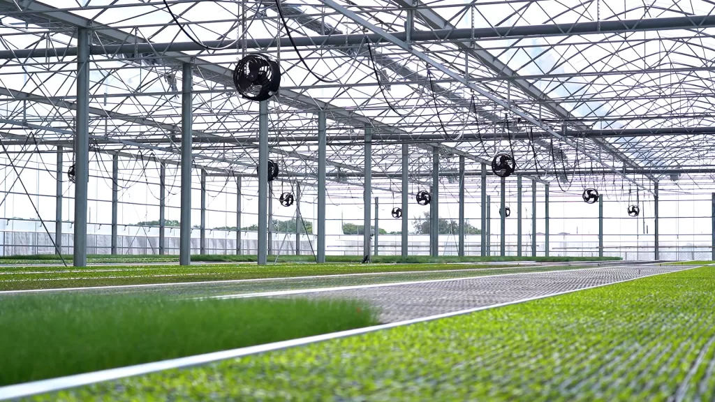 quat-cong-nghiep-khong-on-nha-kinh