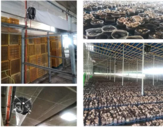 quat-cong-nghiep-trang-trai-nam