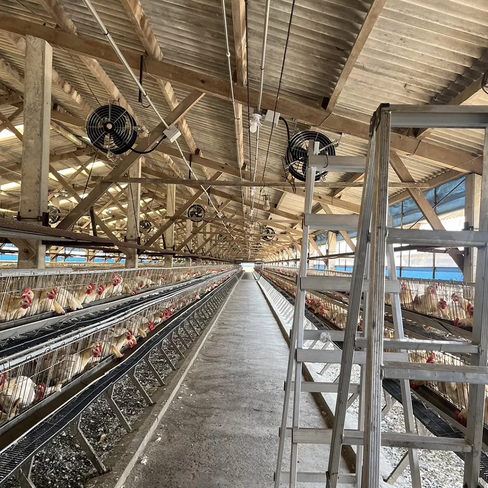 quat-lam-mat-cong-nghiep-trang-trai