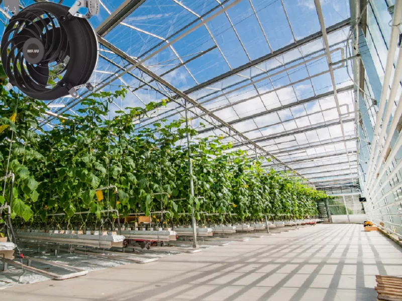 Khả năng kiểm soát nhiệt độ bên trong nhà kính của quạt công nghiệp