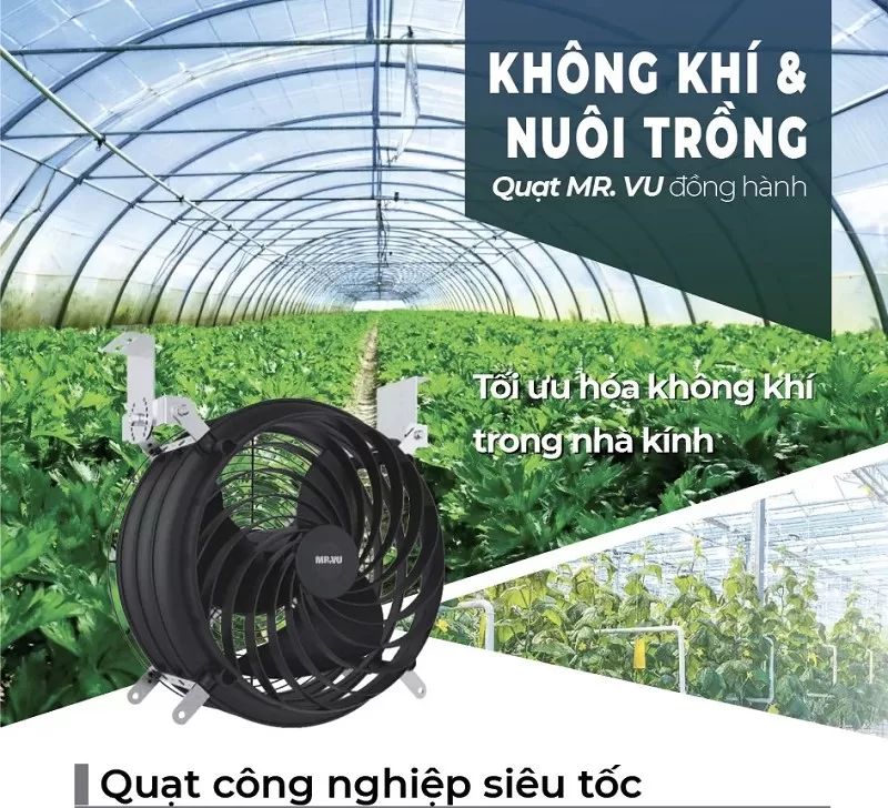 Quạt công nghiệp KOSMO có khả năng làm mát nhanh chóng cho nhà kính