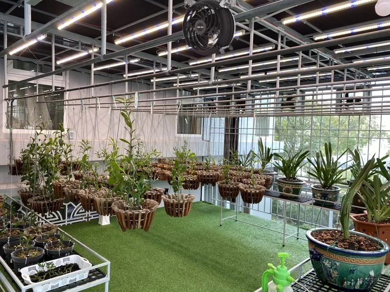 Quạt công nghiệp cho nhà kính trồng lan thương hiệu KOSMO