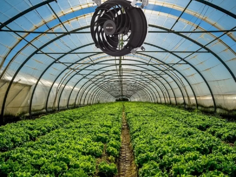 Quạt công nghiệp làm mát, cân bằng độ ẩm không khí cho nhà kính