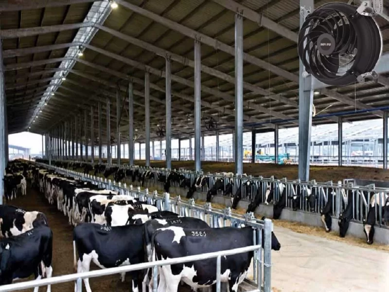 Quat-cong-nghiep-lam-mat-chuong-trai-duoc-yeu-thich-hien-nay