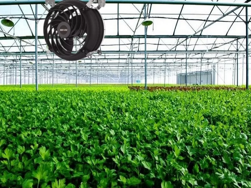 Quạt công nghiệp làm mát nhà kính cấp CO2, nâng cao chất lượng không khí