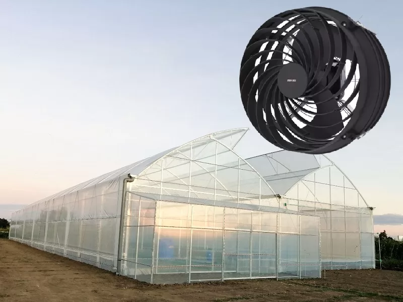 Quạt công nghiệp làm mát nhà kính giúp lưu thông không khí