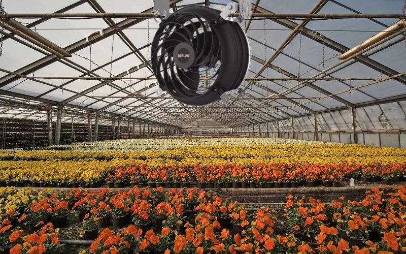 Quạt công nghiệp loại bỏ phân tầng không khí cho nhà kính