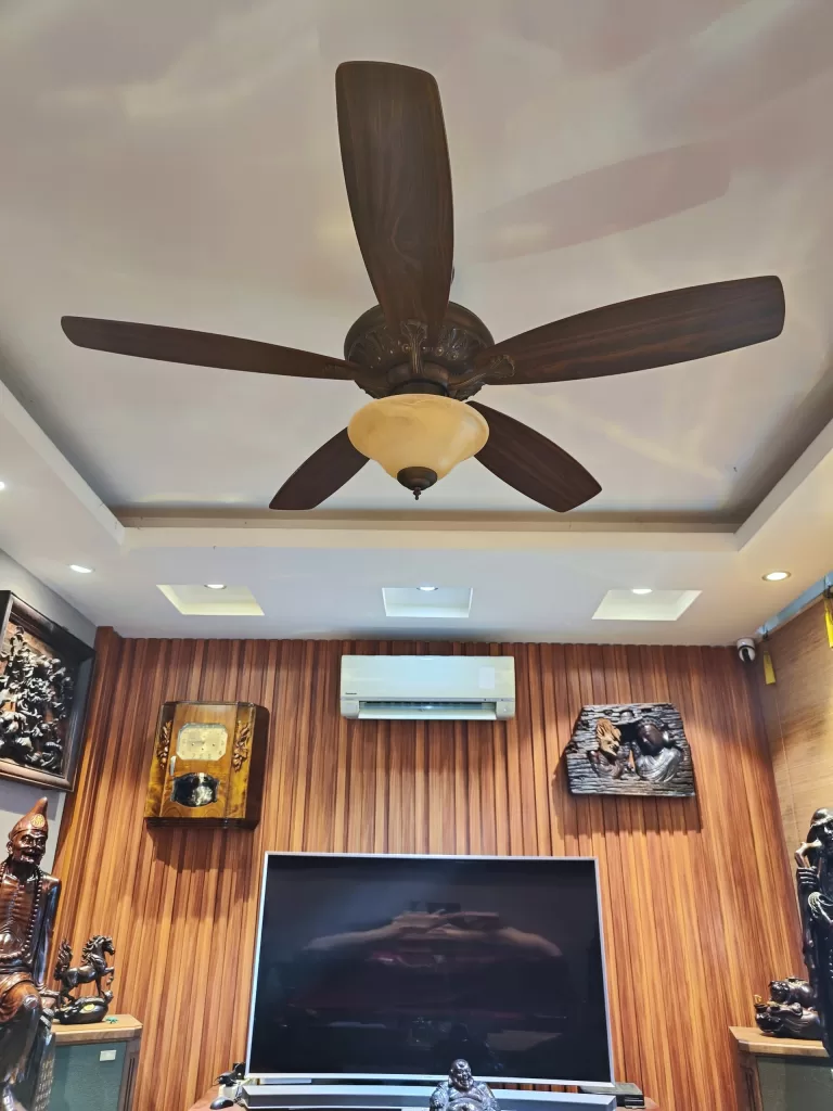 quat-tran-co-dien-legend-plus-coden quat-tran-co-dien-legend-plus-coden