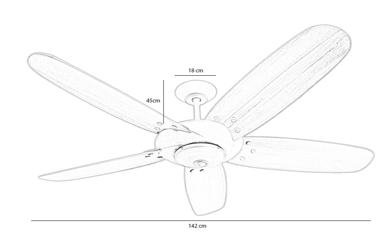kich-thuoc-quat-tran-rose