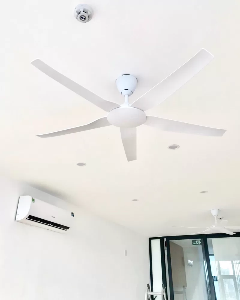 quat-tran-5canh-nhua-halo-wh quat-tran-5canh-nhua-halo-wh