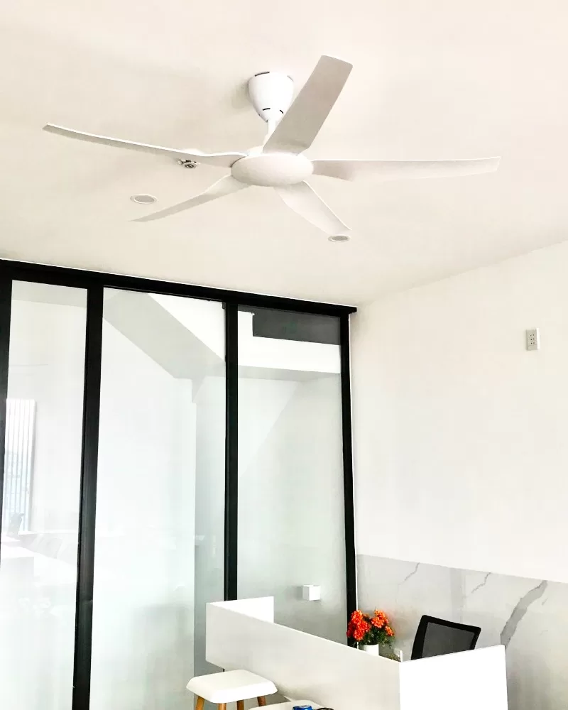 quat-tran-5canh-nhua-halo-wh4 quat-tran-5canh-nhua-halo-wh4