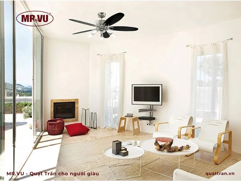 quạt trần nhập khẩu đức