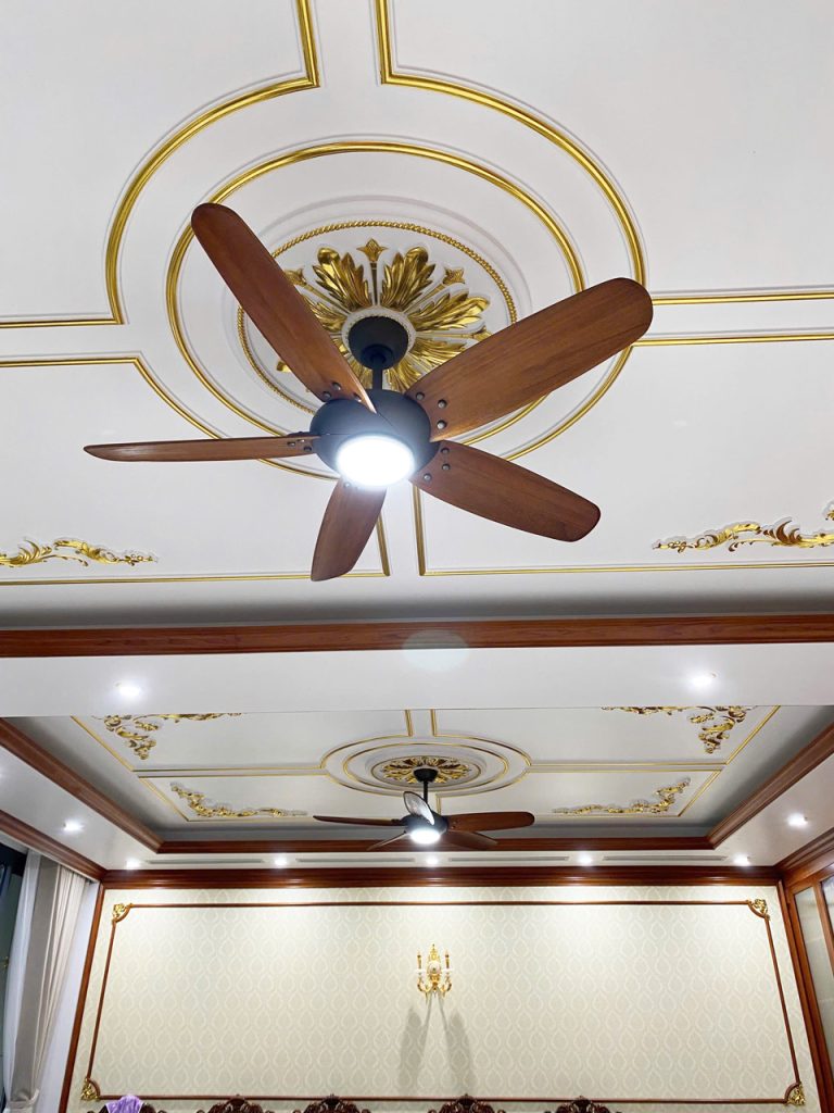 Rose Sl Thucte Rose Sl Thucte