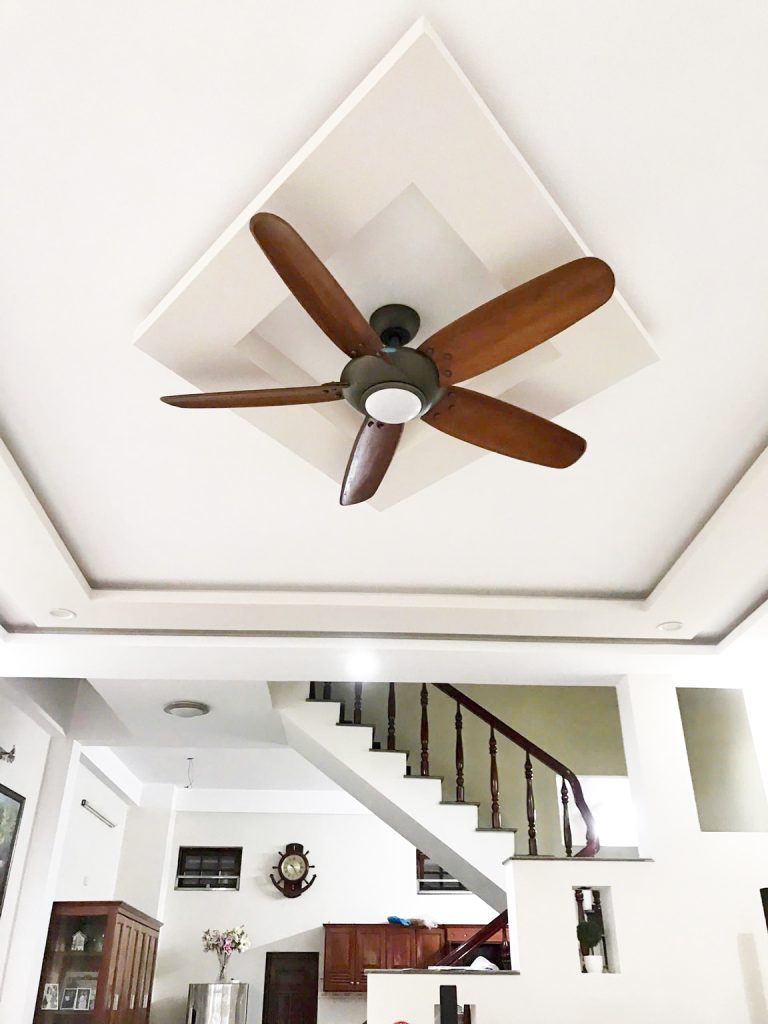 quat-tran-5canh-rose-denled quat-tran-5canh-rose-denled