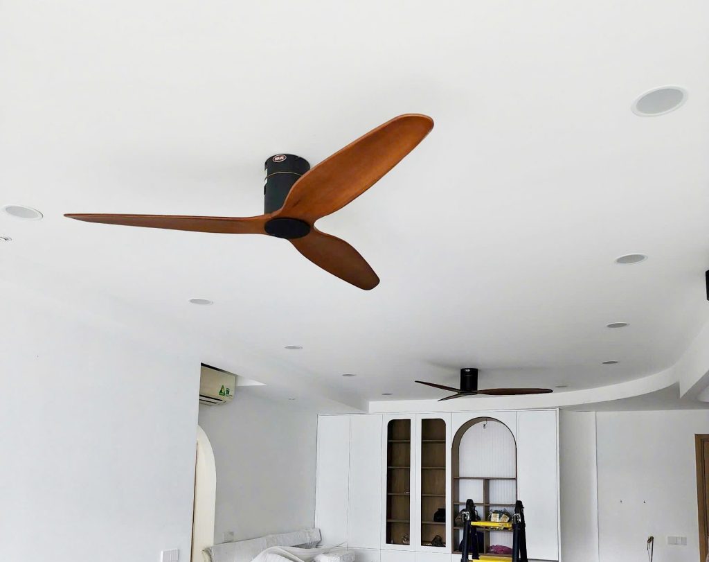 quat-tran-vita-wn quat-tran-vita-wn