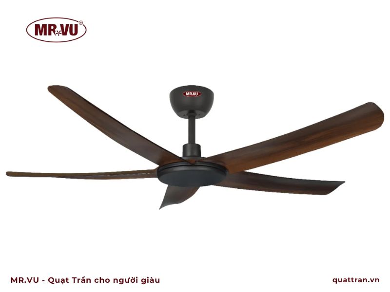 thay bi quạt trần