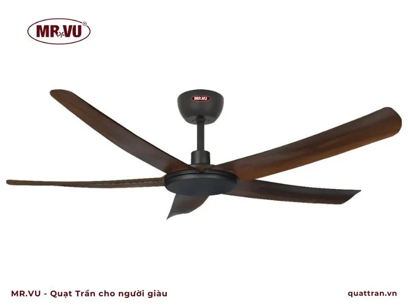 thay bi quạt trần