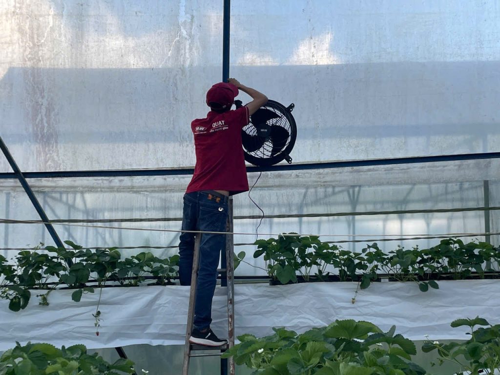 Quạt Công Nghiệp Làm Mát Tốc độ Cao Cho Nhà Màng