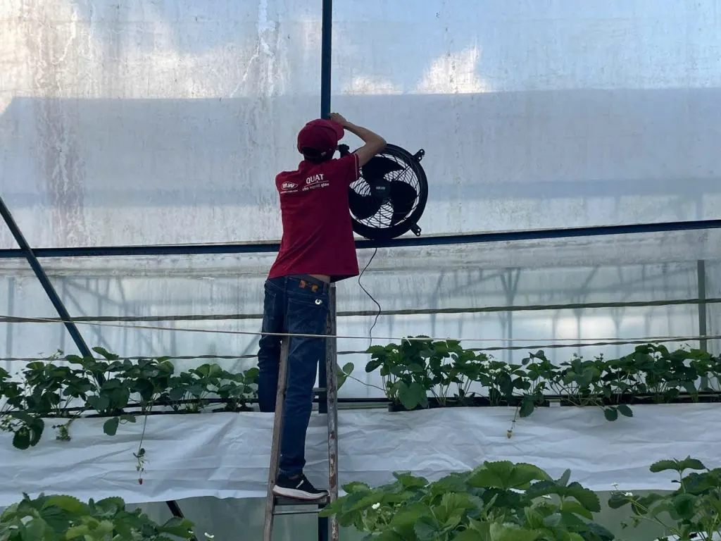 Quạt công nghiệp làm mát tốc độ cao cho nhà màng 6 Quạt Công Nghiệp Làm Mát Tốc độ Cao Cho Nhà Màng
