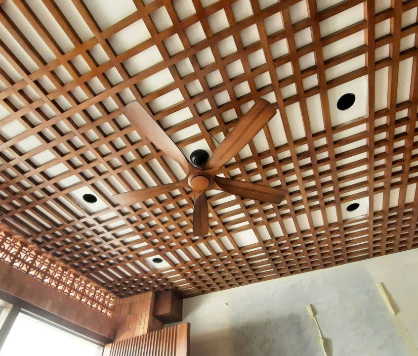 quat-tran-vision-nl quat-tran-vision-nl