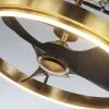 canh-quat-wheel 3 cánh màu đen kết hợp với khung quạt màu vàng gold rất sang trọng