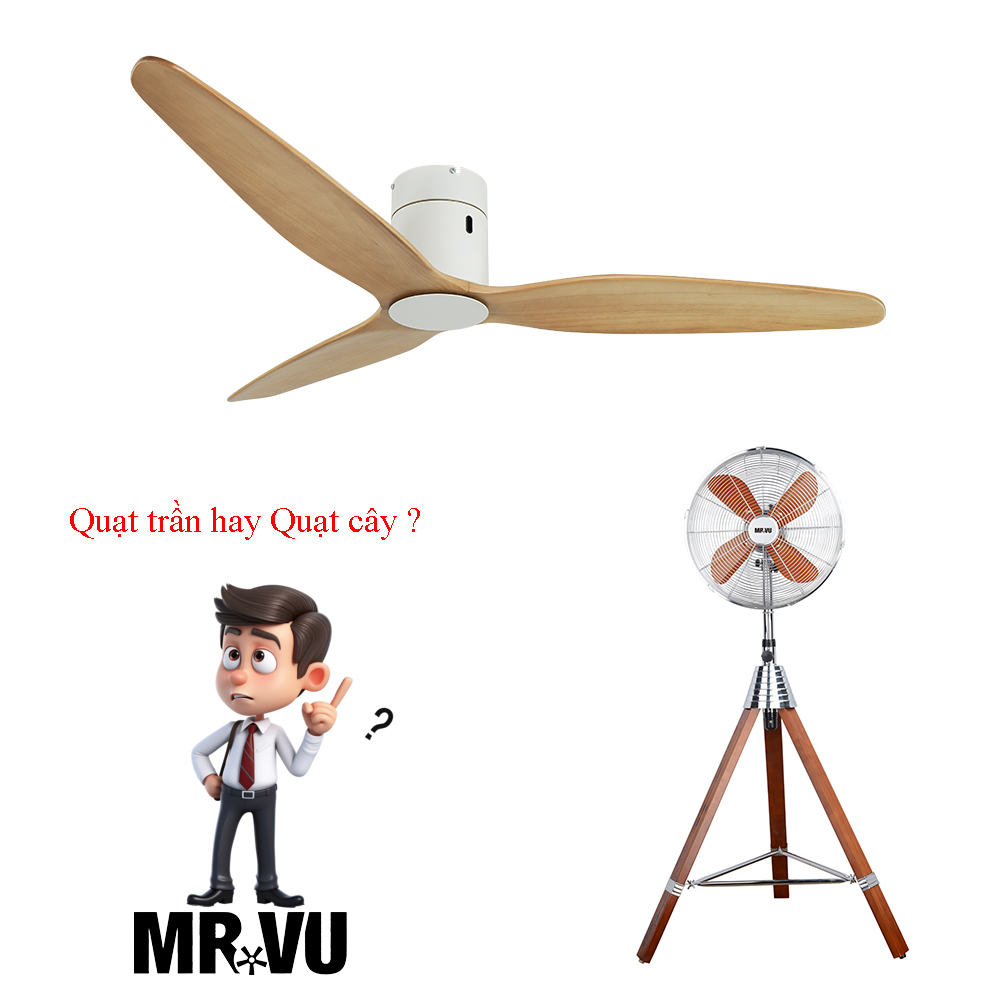 nên dùng quạt trần hay quạt cây