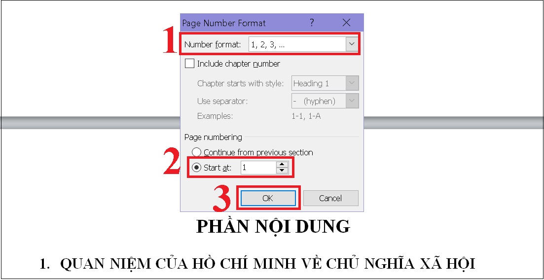 Màn hình sẽ xuất hiện với hộp Format page numbers. Bạn tiến hành chọn kiểu đánh số trong khung Number Format và chọn Start at với bất kì giá trị nào mà bạn muốn đánh mặc định. Thông thường, người ta chọn giá trị 1, rồi nhấn OK. Màn hình sẽ xuất hiện với hộp Format page numbers