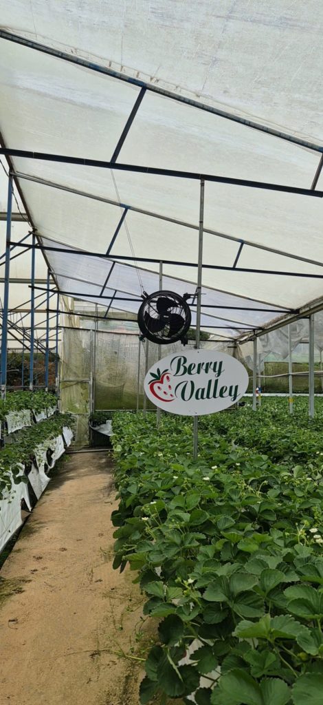 quat-thong-gio-cho-nha-kinh-de-trong-cay