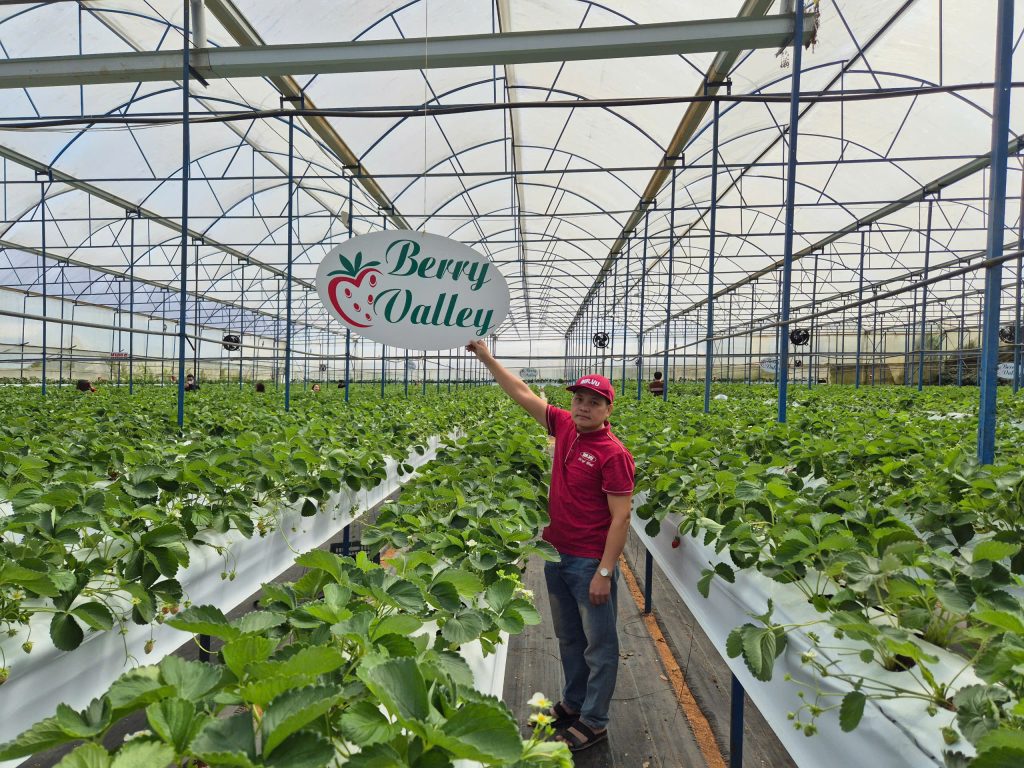 y-nghia-cua-viec-su-dung-quat-thong-gio-cho-nha-kinh-de-trong-cay-dau