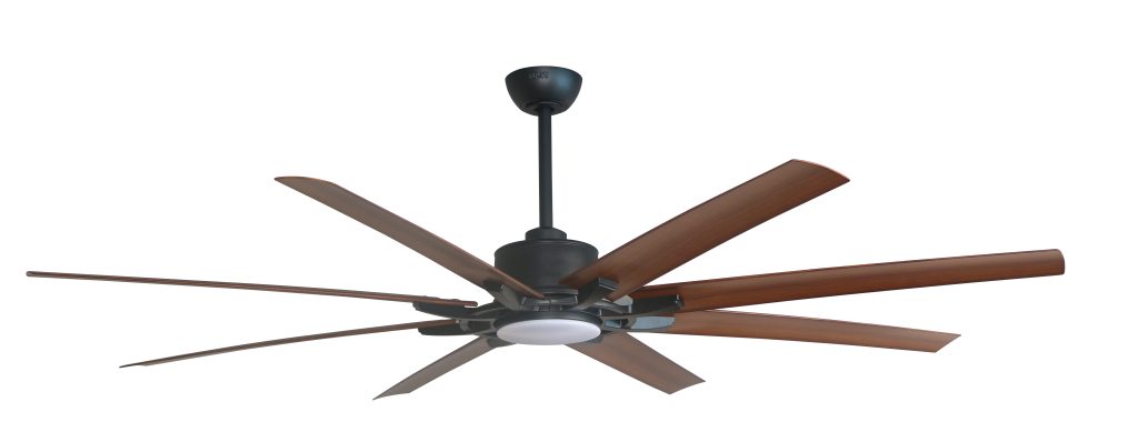 MEGA-PRO-sai-canh-gan-2m