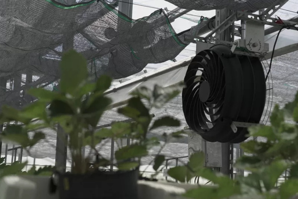 Quạt công nghiệp treo tường KOSMO vận hành êm, gió mạnh, bền bỉ theo năm tháng