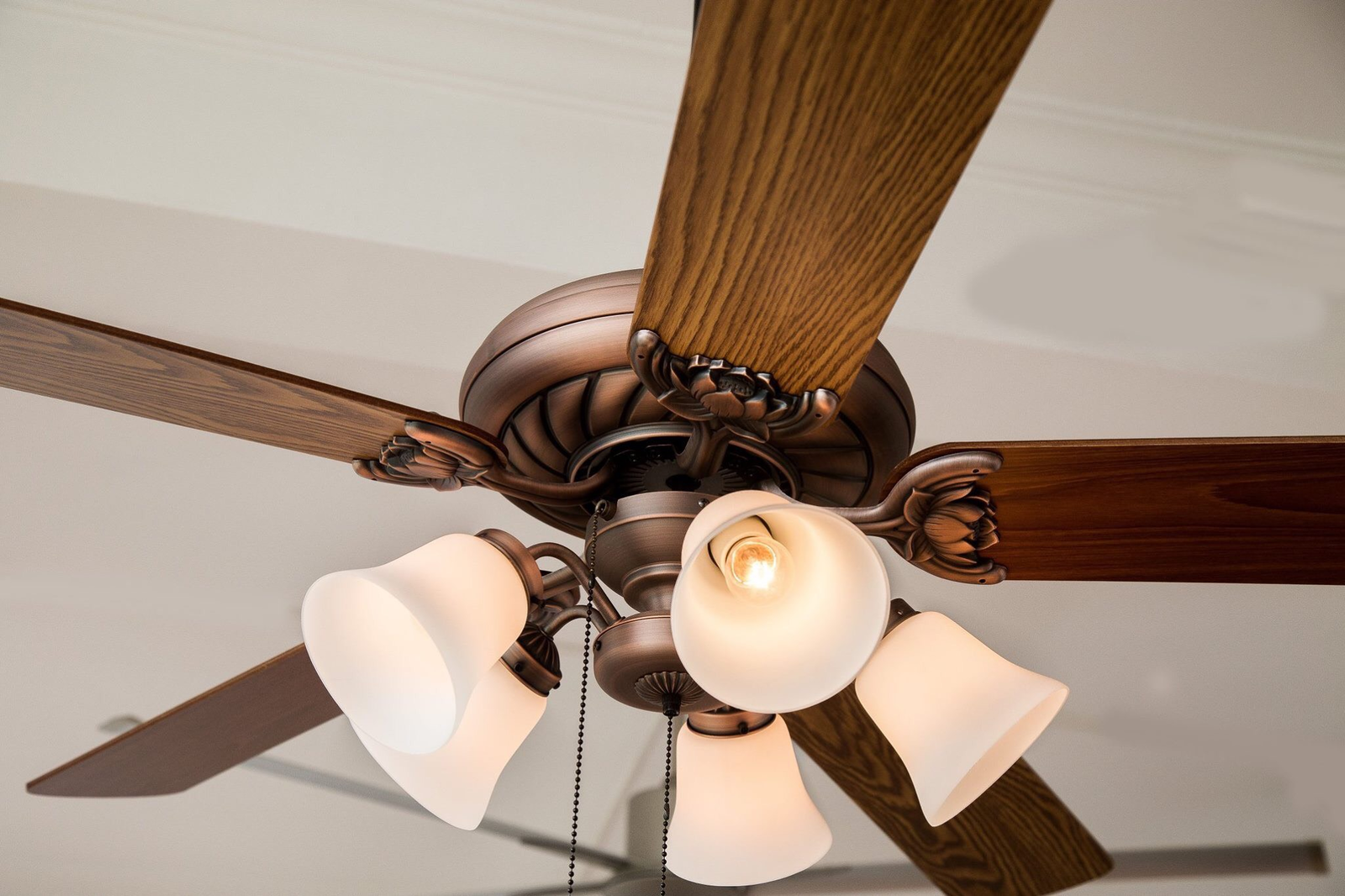 Bà chủ 8X thiết kế quạt trần từ cảm hứng hoa sen 25 lotus1-2243-1539307476.png