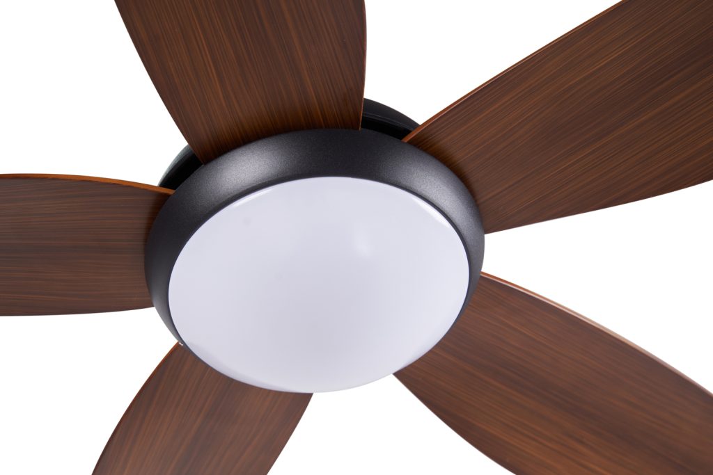 Quạt trần đèn CORA Walnut sải cánh lớn cho phòng khách