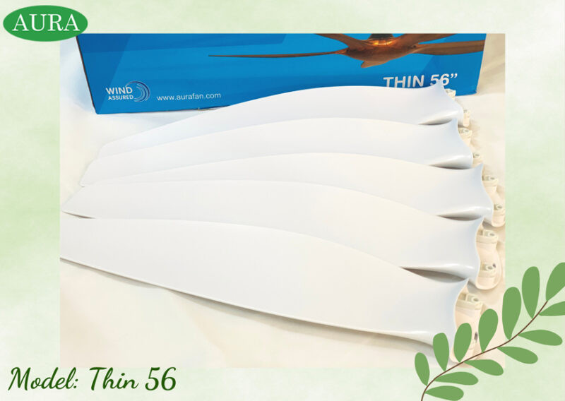 quat-tran-5-canh-mau-trang-thin8 quat-tran-5-canh-mau-trang-thin8