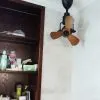 Quạt con cóc BON lắp đặt tại Hà Nội