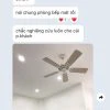 review quat classic