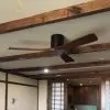 z5573069529909_d2f6842641289180195ff7b55488f5c1